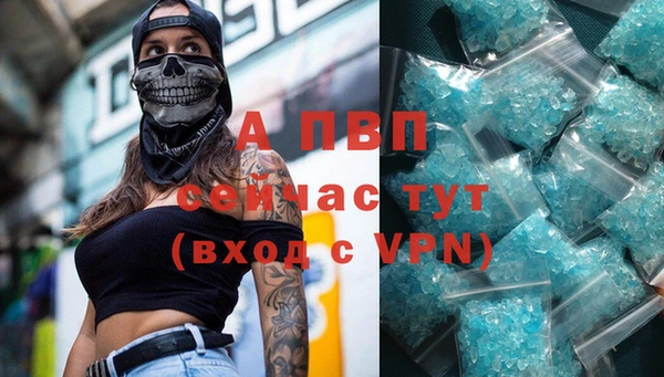 гашик Козловка
