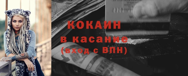 гашик Козловка