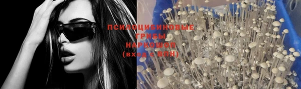 гашик Козловка