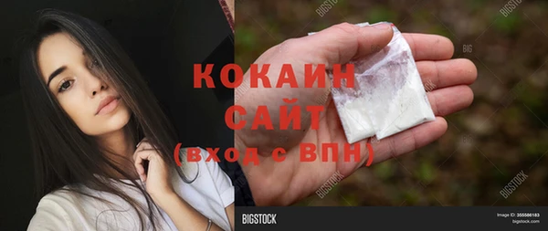 тгк Козельск
