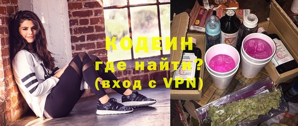 гашик Козловка