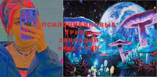 гашик Козловка