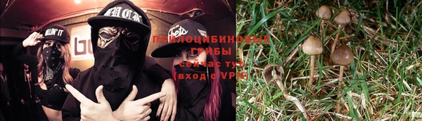 гашик Козловка