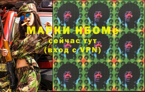 гашик Козловка