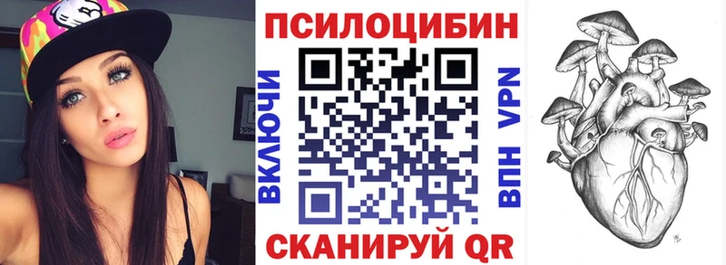 Купить где  Новотитаровская  Псилоцибиновые грибы MAGIC MUSHROOMS 