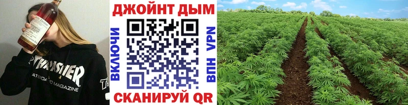 Шишки марихуана ГИДРОПОН  Купить где  Новотитаровская 